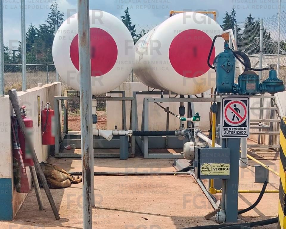 WhatsApp Image 2026 03 23 at 6.31.59 PM 1