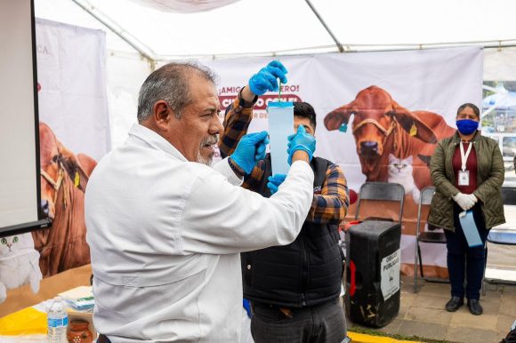 Refuerza Gobierno Estatal prevención del gusano barrenador en la Sierra Negra