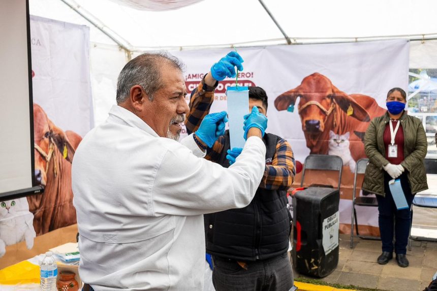 Refuerza Gobierno Estatal prevención del gusano barrenador en la Sierra Negra