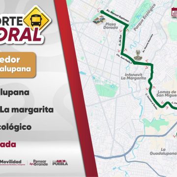 WhatsApp_Image_2026-03-06_at_2.34.30_PM Se habilita nuevo recorrido temporal para La Guadalupana