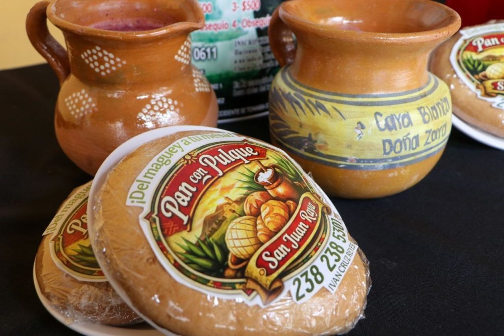 Zapotitlan Salinas presenta su Eco Festival Regional del Pulque y Maguey 2026 2