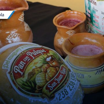 Zapotitlán Salinas presenta su Eco Festival Regional del Pulque y Maguey 2026