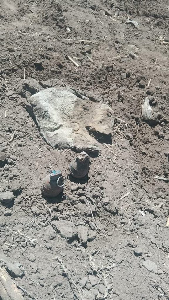 a73b2f20 e689 4289 8e34 75ea33c9f8d2