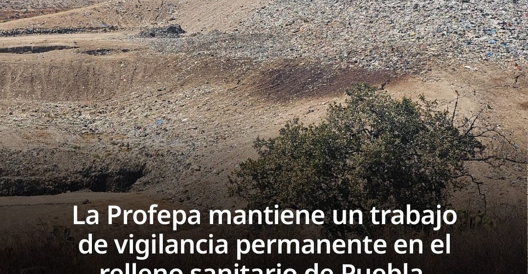 Profepa descarta contaminación en Chiltepeque