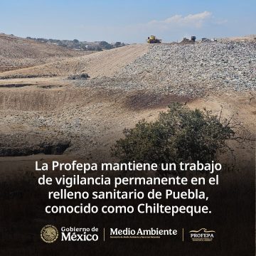 Profepa descarta contaminación en Chiltepeque