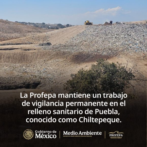 Profepa descarta contaminación en Chiltepeque