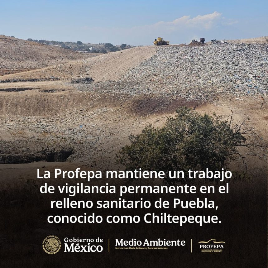 Profepa descarta contaminación en Chiltepeque