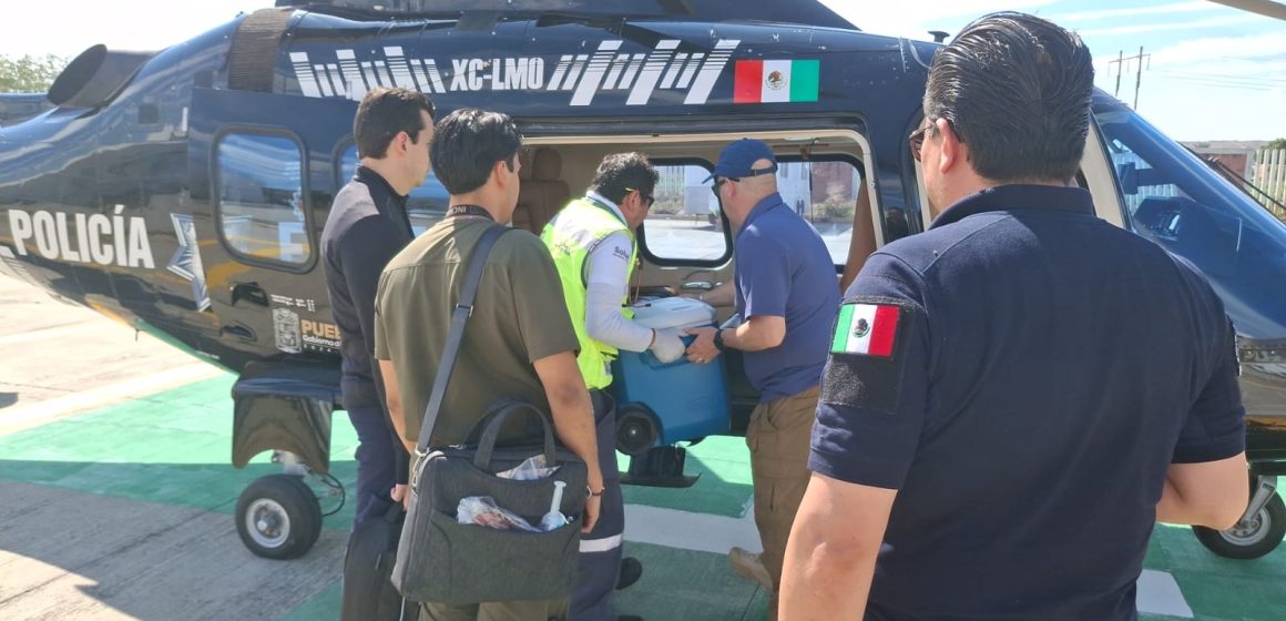 Gobierno de Puebla y SUMA coordinan traslado aéreo de órganos hacia la CDMX