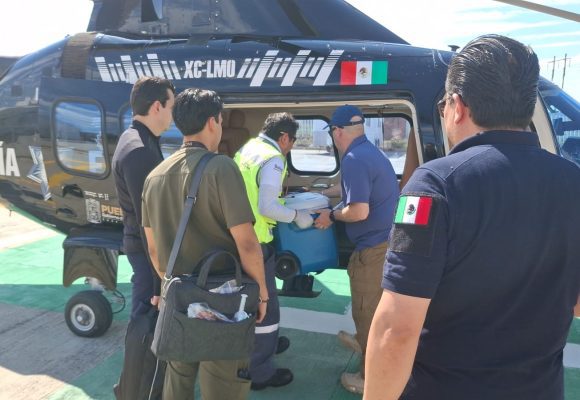 Gobierno de Puebla y SUMA coordinan traslado aéreo de órganos hacia la CDMX