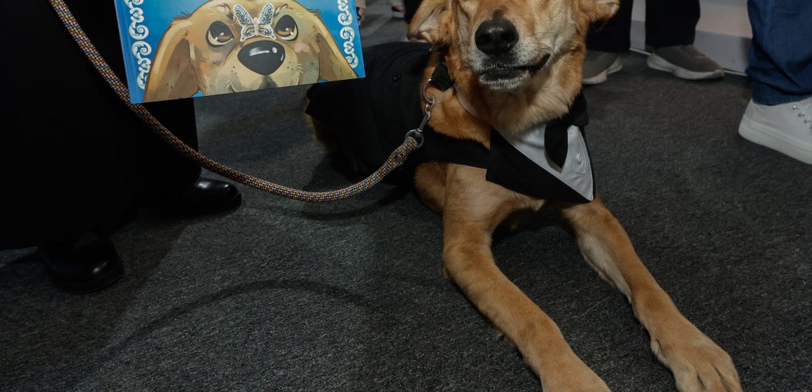 Carolino: el perrito que encontró un hogar en el corazón de la BUAP