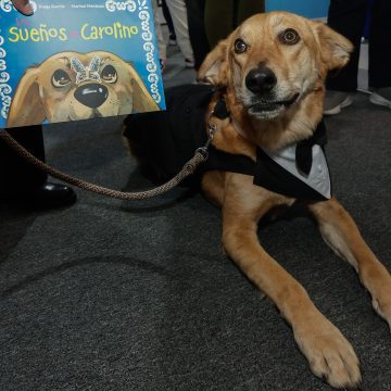 Carolino: el perrito que encontró un hogar en el corazón de la BUAP