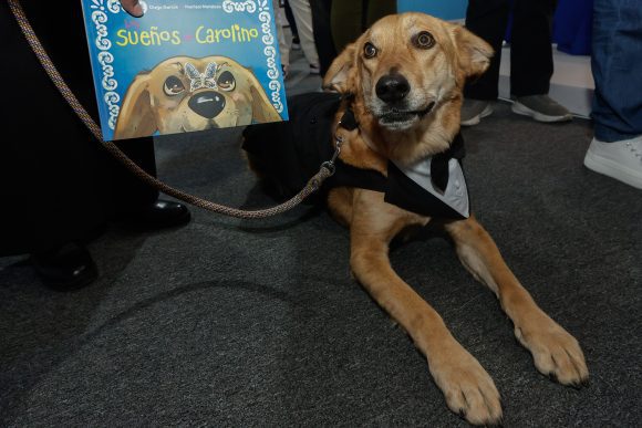Carolino: el perrito que encontró un hogar en el corazón de la BUAP
