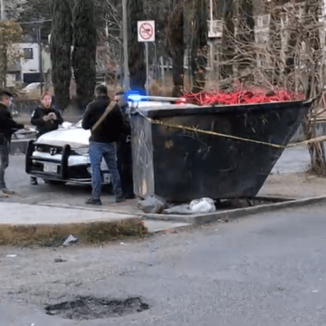 feto Hallan feto en contenedor de basura en Bosques de San Sebastián