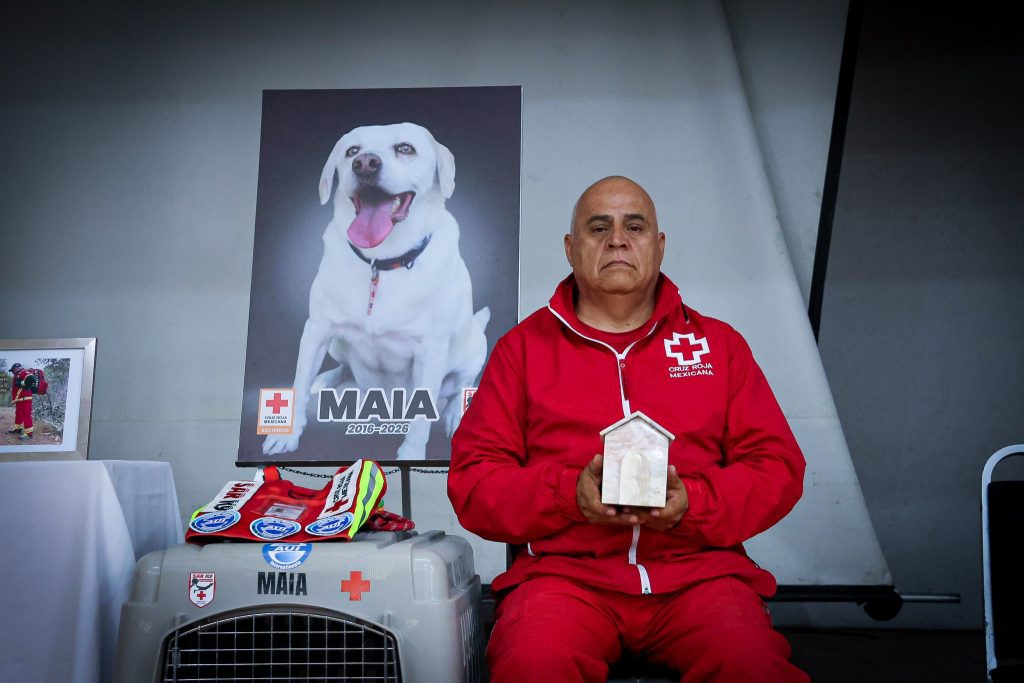 Cruz Roja Puebla rinde homenaje a Maia, valiente integrante del equipo SAR K-9 1 maia
