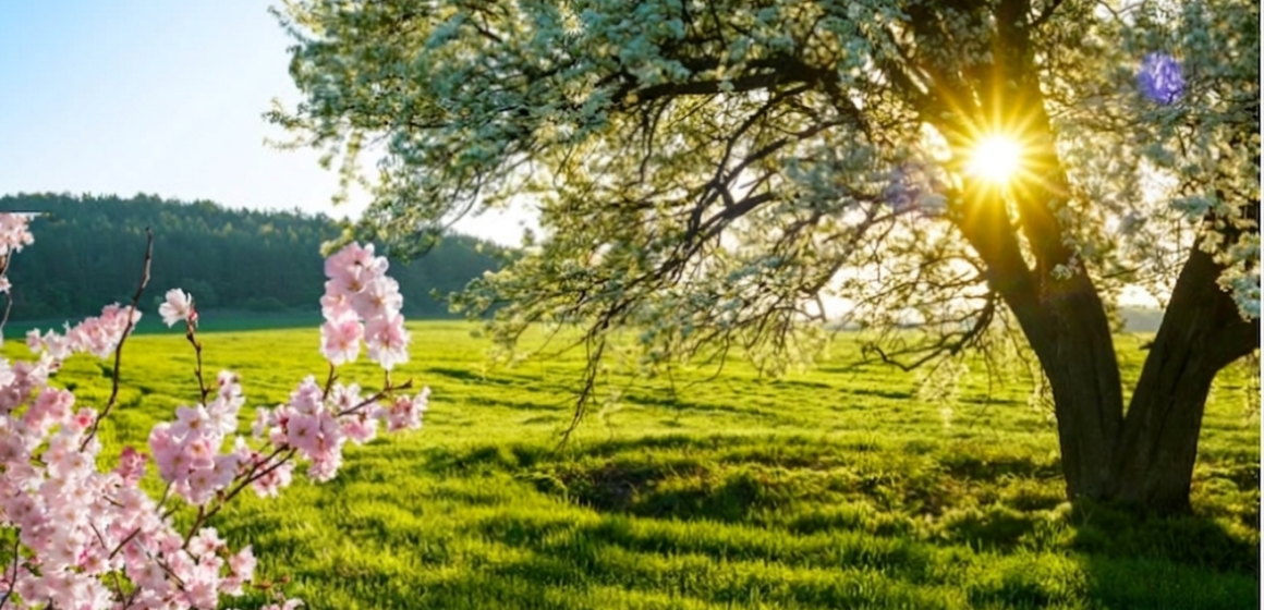 ¿Cuándo inicia la primavera 2026 en México? Todo sobre el equinoccio