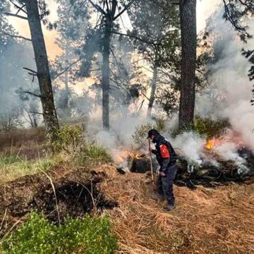 Controlan cuatro incendios forestales en Puebla