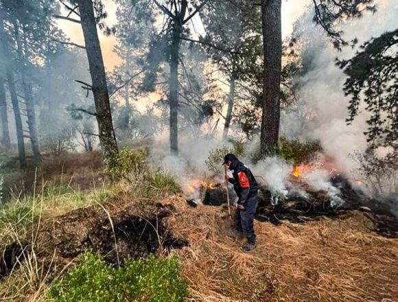 Controlan cuatro incendios forestales en Puebla