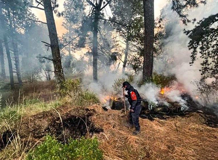 Controlan cuatro incendios forestales en Puebla