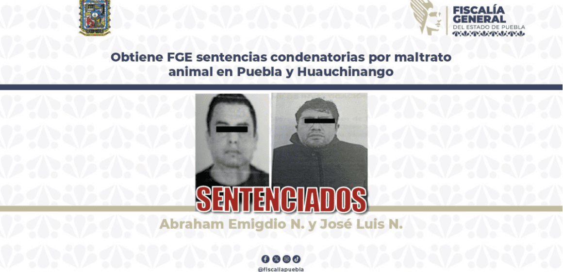 Sentencian a responsables por maltrato animal en Puebla y Huauchinango