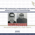 Sentencian a responsables por maltrato animal en Puebla y Huauchinango