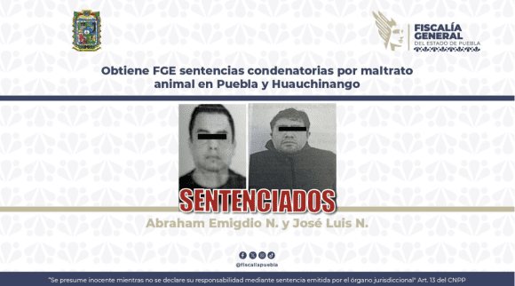 Sentencian a responsables por maltrato animal en Puebla y Huauchinango