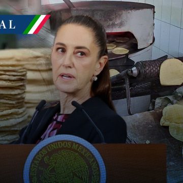 “No hay ninguna razón para que suba el precio de la tortilla”: Sheinbaum