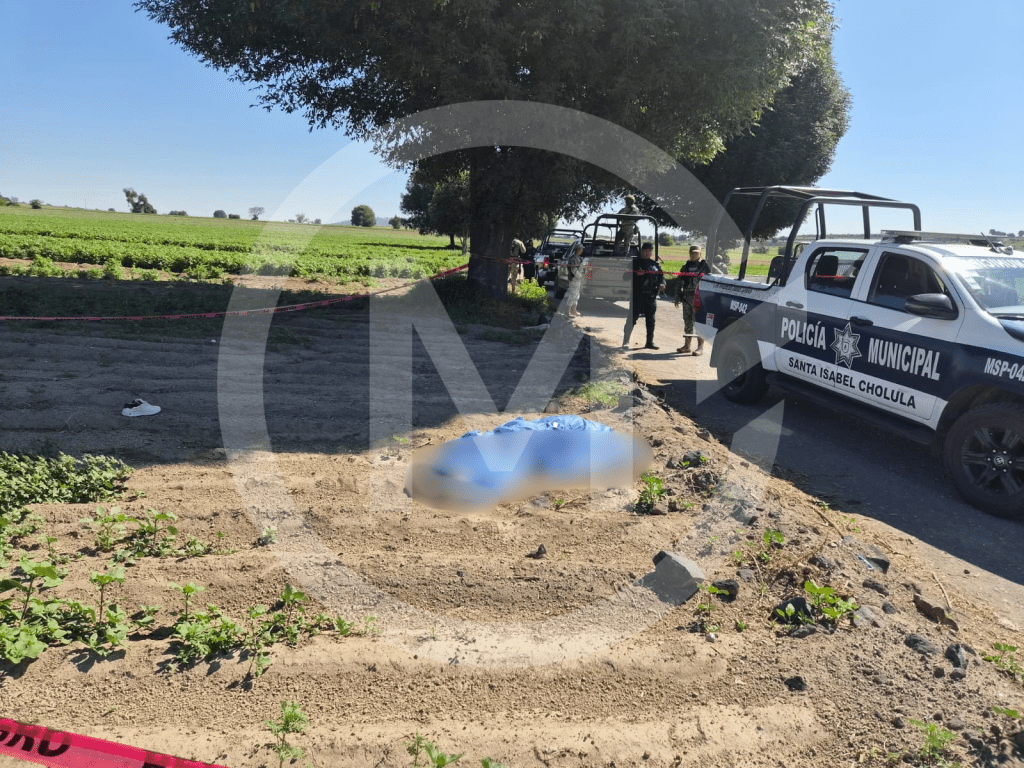 Diseno sin titulo 37