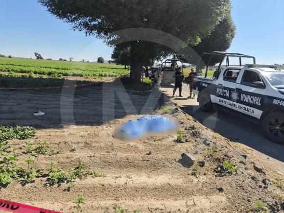 Hallan cuerpo de joven apuñalado en terrenos de cultivo de San Jerónimo Tecuanipan