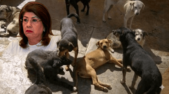 Mariela Gutiérrez detalla la aplicación de 10 mil eutanasias caninas durante en Tecámac