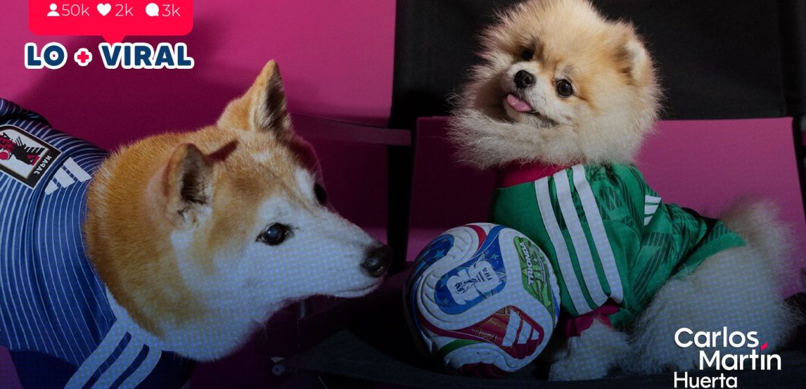Adidas lanza colección de jerseys para mascotas del Mundial 2026
