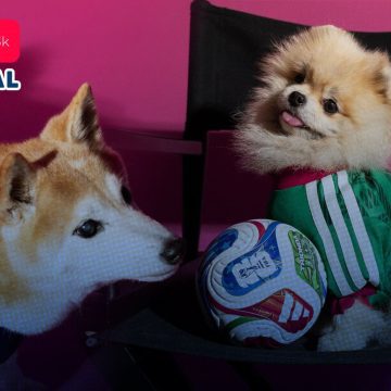 Adidas lanza colección de jerseys para mascotas del Mundial 2026