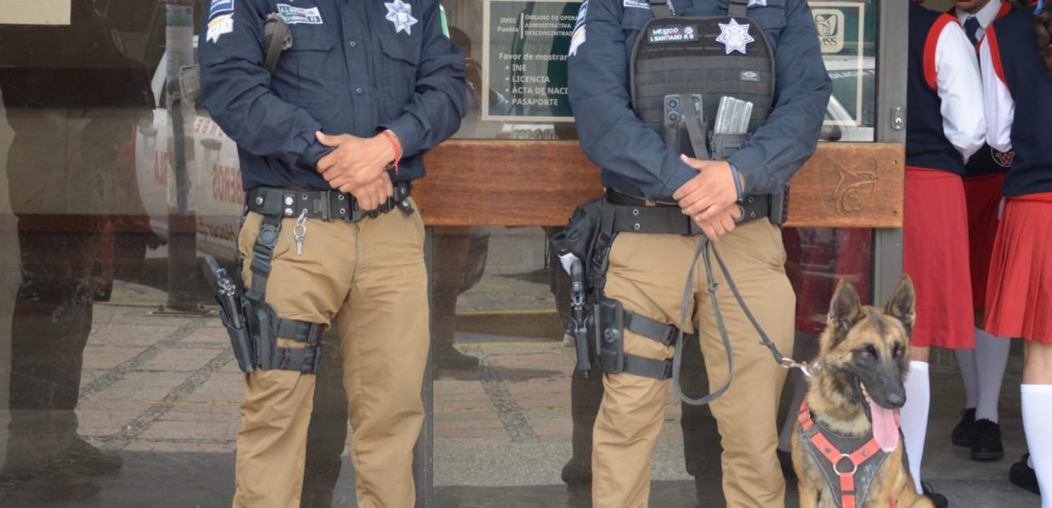 Puebla mantiene operativos preventivos con binomios K9 en escuelas