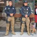 Puebla mantiene operativos preventivos con binomios K9 en escuelas