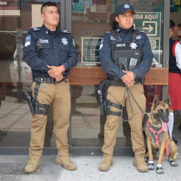 Puebla mantiene operativos preventivos con binomios K9 en escuelas