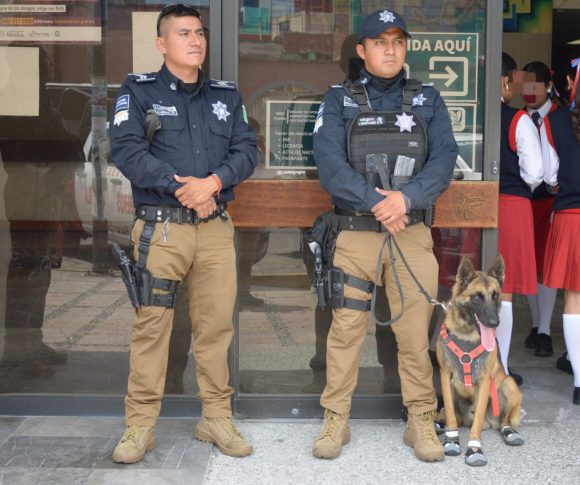 Puebla mantiene operativos preventivos con binomios K9 en escuelas
