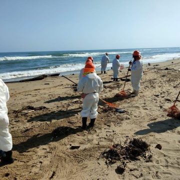 Limpian 32 playas y recolectan casi 900 toneladas de hidrocarburo en el Golfo de México