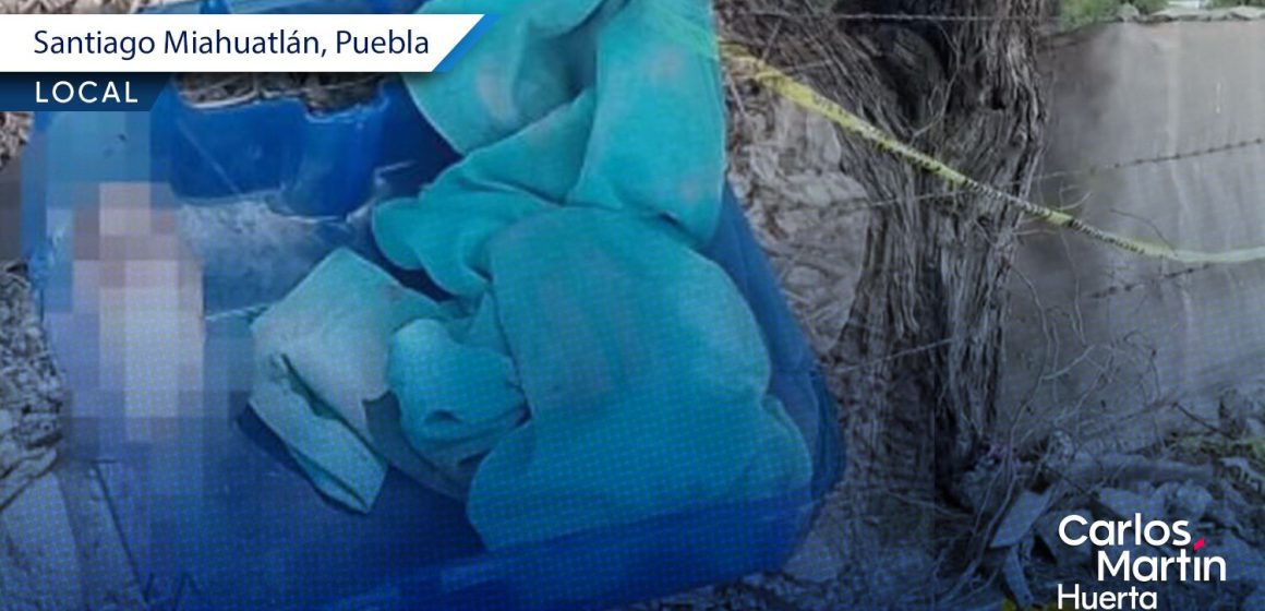 Horror en Miahuatlán: Reportan hallazgo de feto que habría sido devorado por la fauna