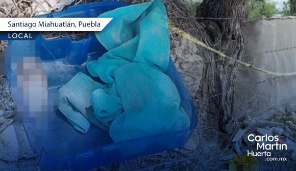 Horror en Miahuatlán: Reportan hallazgo de feto que habría sido devorado por la fauna
