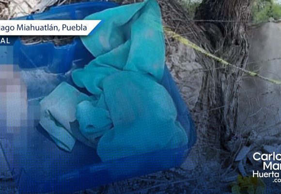 PHOTO-2026-04-09-11-28-06 Horror en Miahuatlán: Reportan hallazgo de feto que habría sido devorado por la fauna