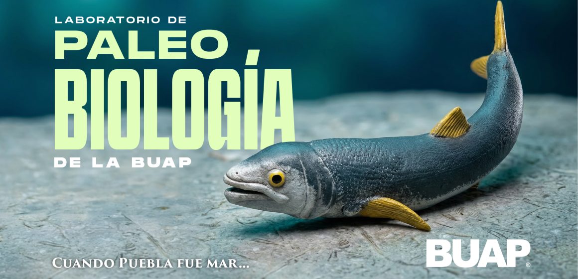Laboratorio de Paleobiología de la BUAP, evidencia de vida del pasado para interpretar el presente y vislumbrar un futuro