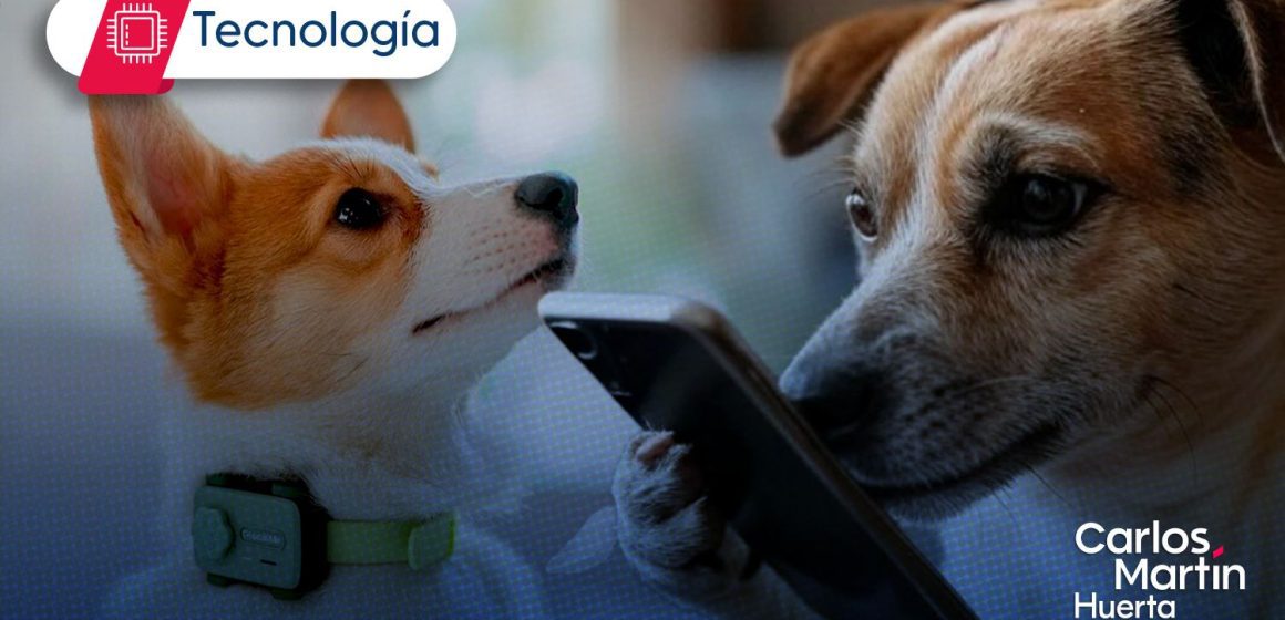PetPhone: El primer smartphone diseñado para mascotas