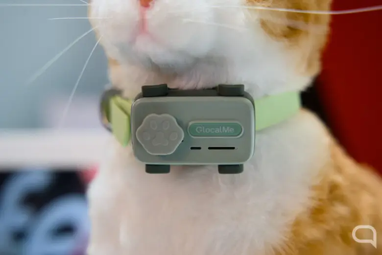 PetPhone El primer smartphone disenado para mascotas 3