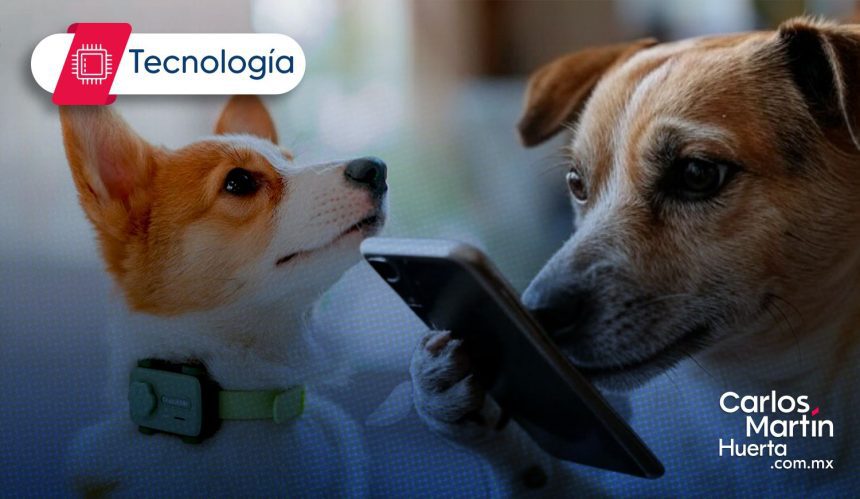 PetPhone El primer smartphone diseñado para mascotas PetPhone: El primer smartphone diseñado para mascotas