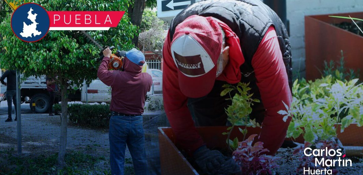 Realizan labores de poda y chapeo en espacios públicos de Puebla capital