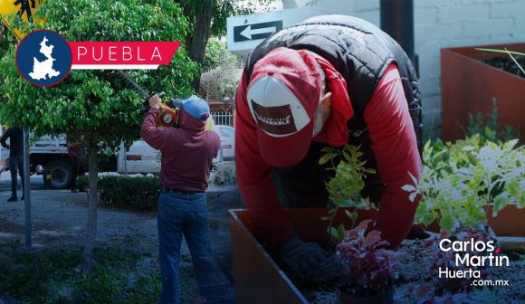 Realizan labores de poda y chapeo en espacios públicos de Puebla capital