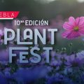 San Pedro Cholula se prepara para el Plant Fest 2026