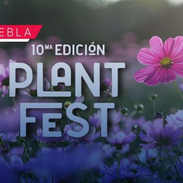 San Pedro Cholula se prepara para el Plant Fest 2026