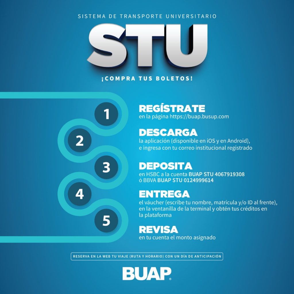 WhatsApp Image 2025 09 29 at 1.55.38 PM