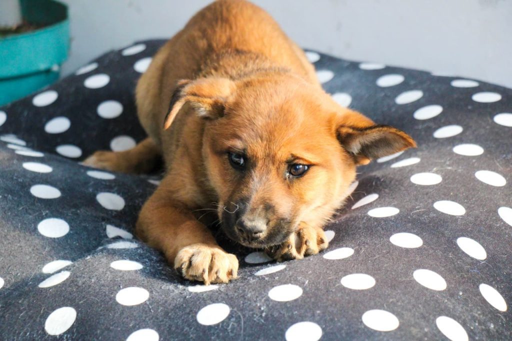 WhatsApp Image 2026 04 02 at 8.45.04 AM 1