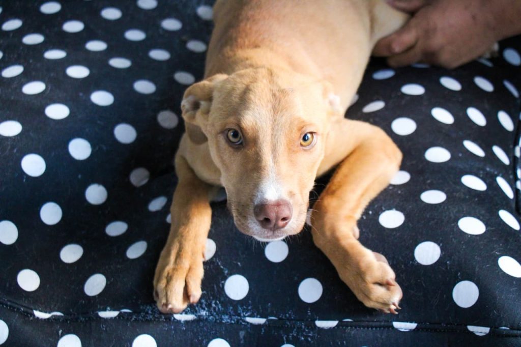 WhatsApp Image 2026 04 02 at 8.45.04 AM